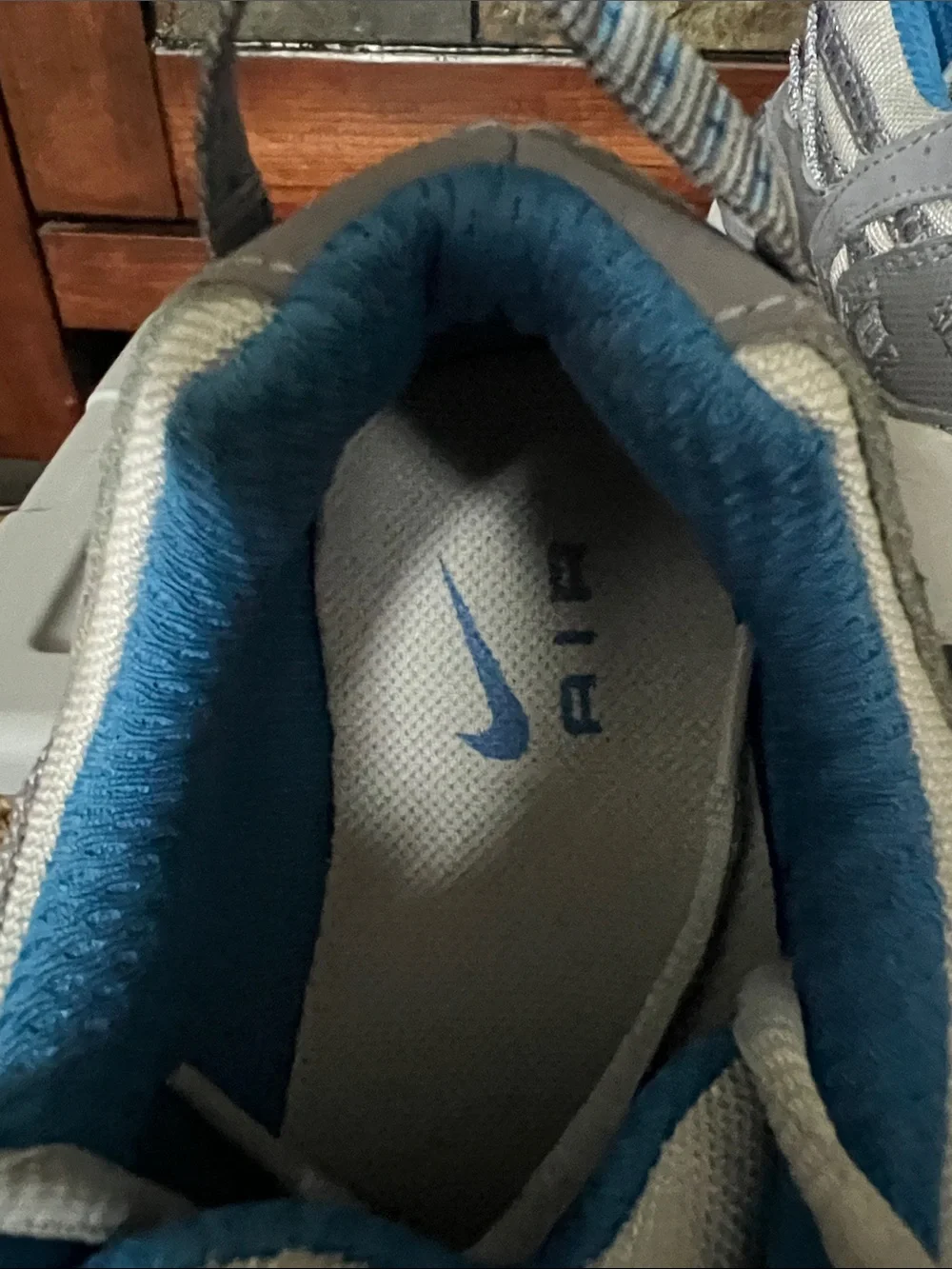 Nike Air Mesh Sneakers in Gray and Blue